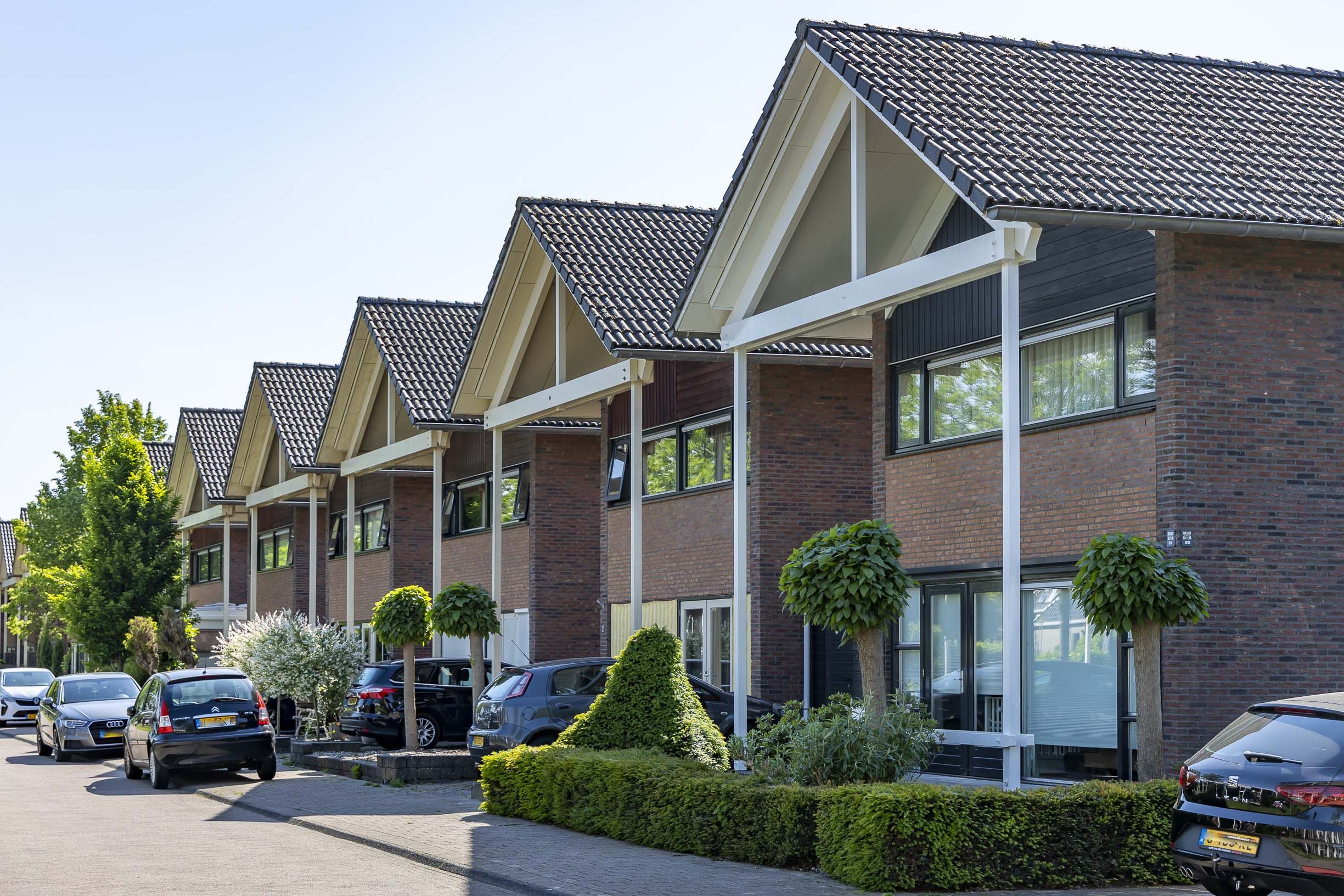 Himsterhout Zaailand 4