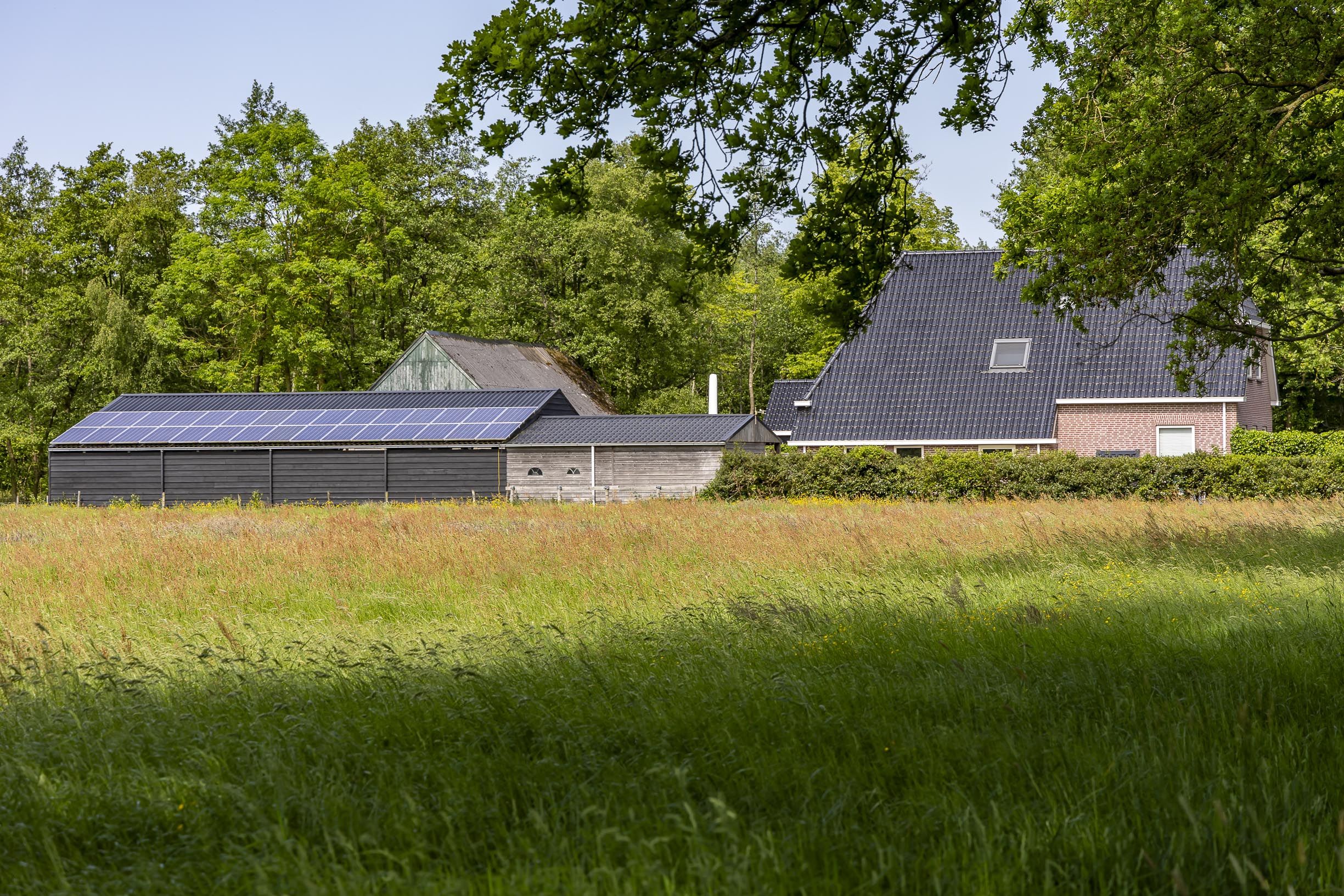 Houtigehage Buitengebied 4