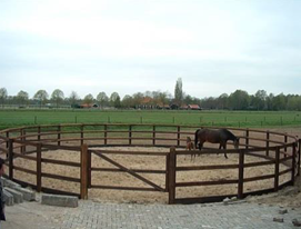 paardenbak