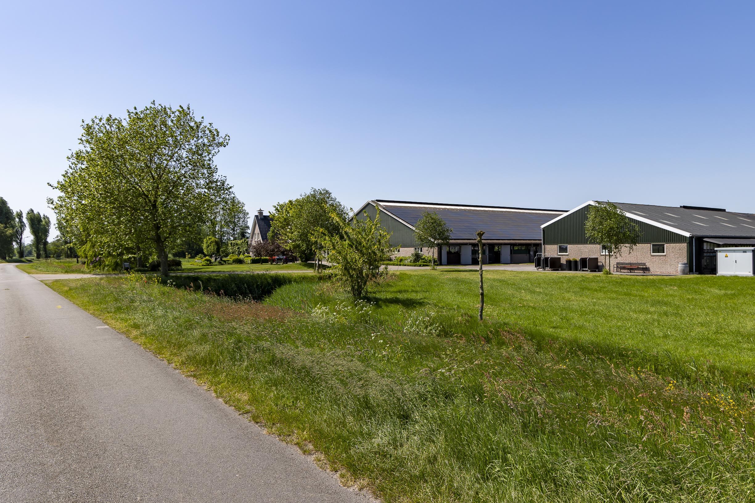 Goudtsjepoel Oudega 4