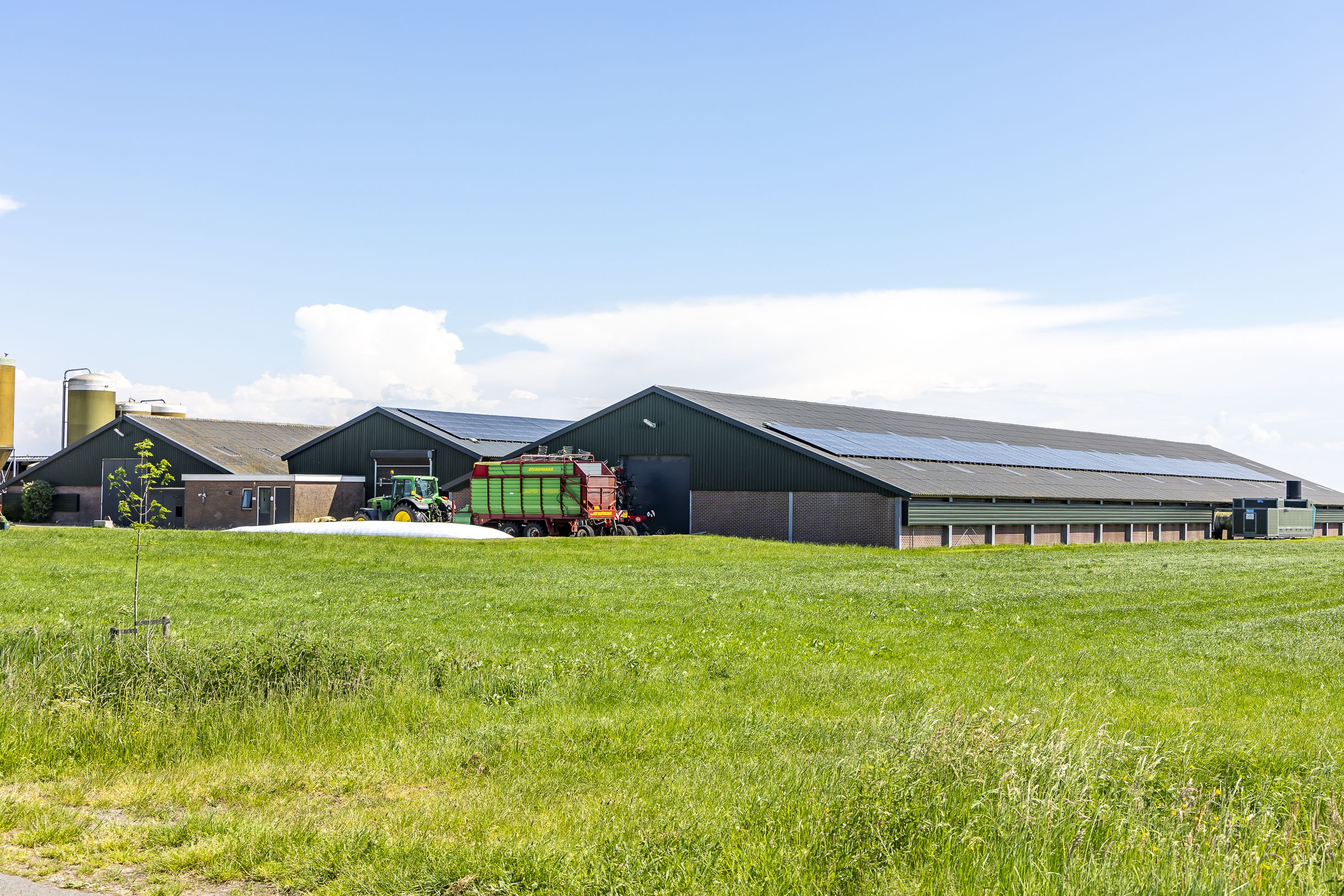 Goudtsjepoel Oudega 3